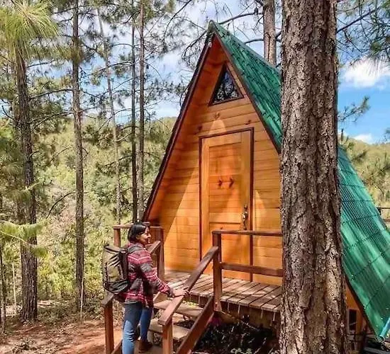 Cabana Privada En El Bosque, Cerca Al Rio Starlinkk