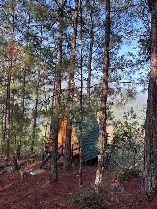Chalet Privada En El Bosque, Cerca Al Rio Starlinkk *