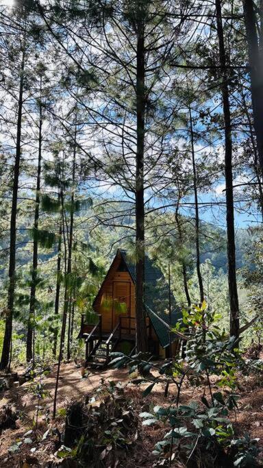Chalet Privada En El Bosque, Cerca Al Rio Starlinkk *
