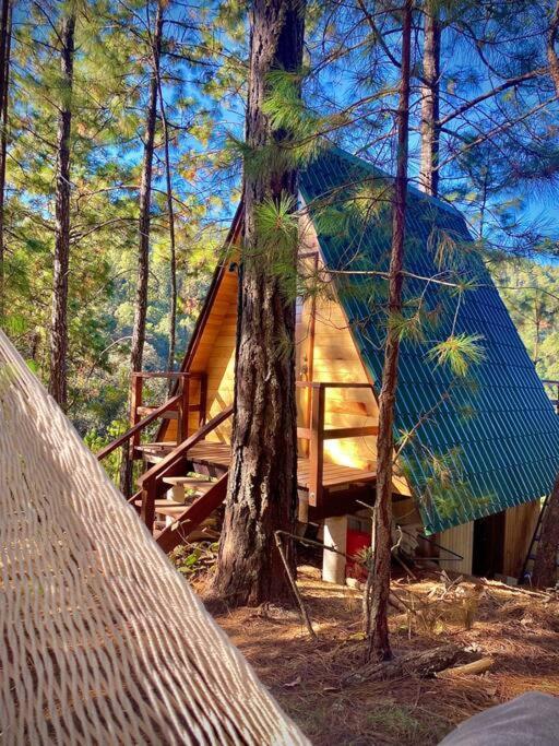 Privada En El Bosque, Cerca Al Rio Starlinkk * San Mateo Rio Hondo