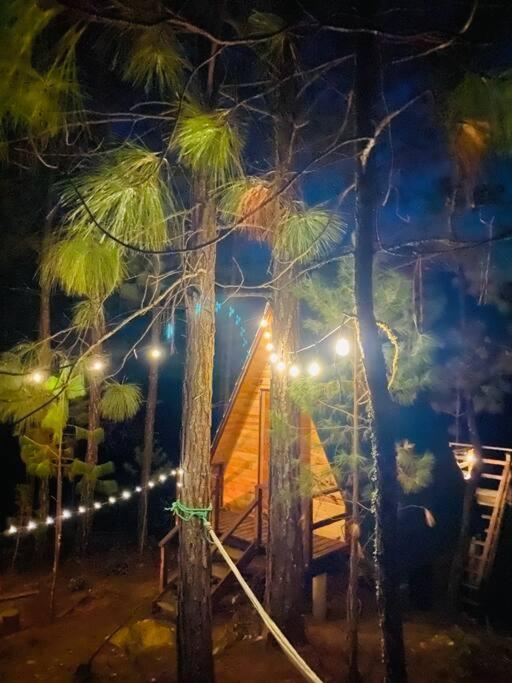 Privada En El Bosque, Cerca Al Rio Starlinkk Chalet