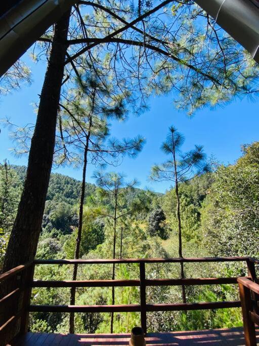 Privada En El Bosque, Cerca Al Rio Starlinkk *