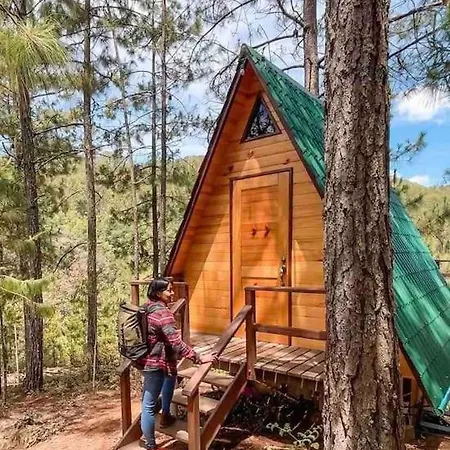 Cabana Privada En El Bosque, Cerca Al Rio Starlinkk San Mateo Rio Hondo Exterior photo