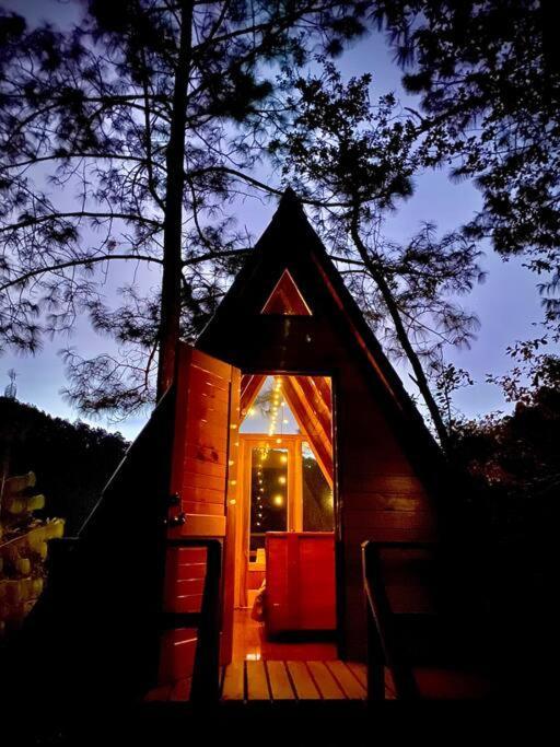 Chalet Privada En El Bosque, Cerca Al Rio Starlinkk