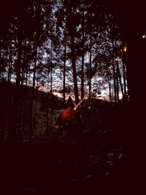 Chalet Privada En El Bosque, Cerca Al Rio Starlinkk